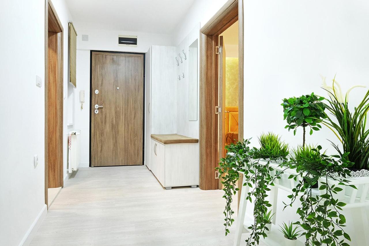 Apartment Paradise Sunshine Belgrad Zewnętrze zdjęcie
