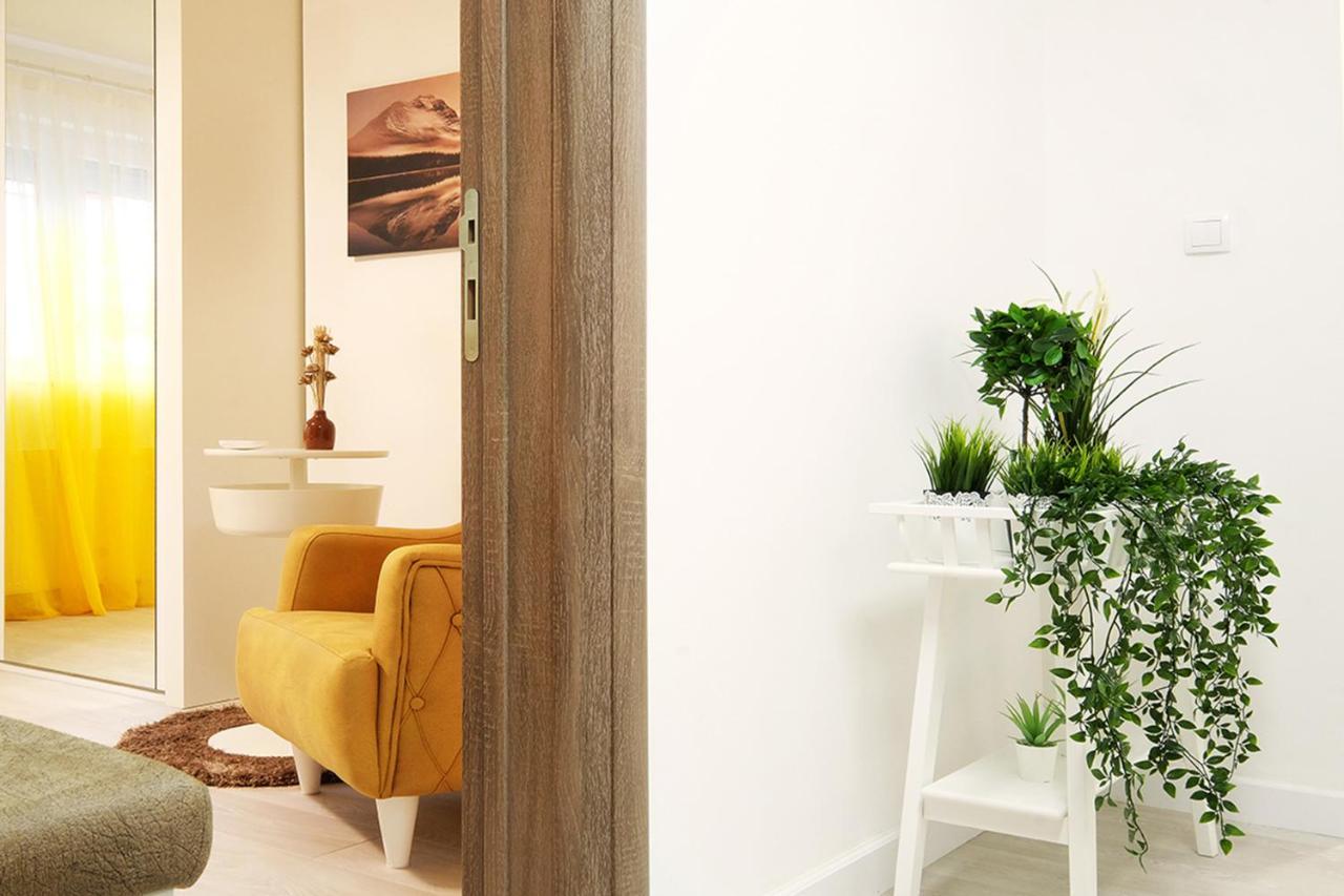 Apartment Paradise Sunshine Belgrad Zewnętrze zdjęcie